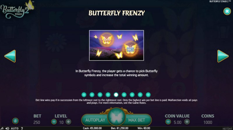 Butterfly Frenzy