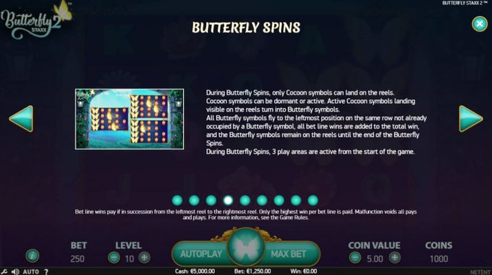 Butterfly Spins