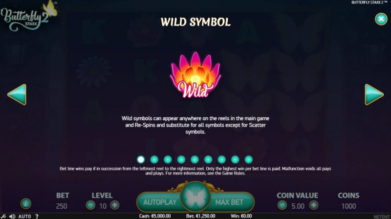 Wild Symbols Rules