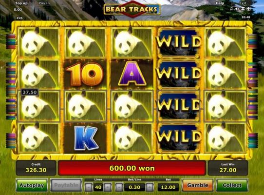 A 600.00 big win triggered by multiple winning paylines during the Free Spins feature.