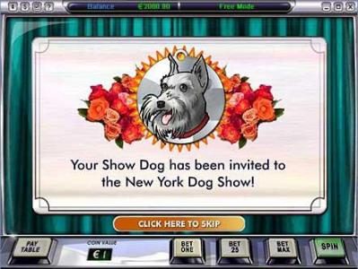 your show dog has been invited to the new york dog show