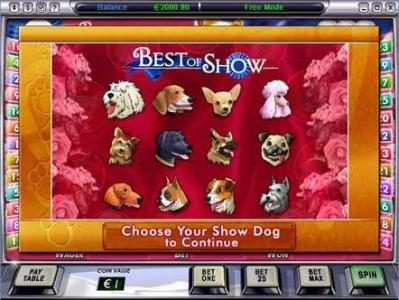 best of show bonus game