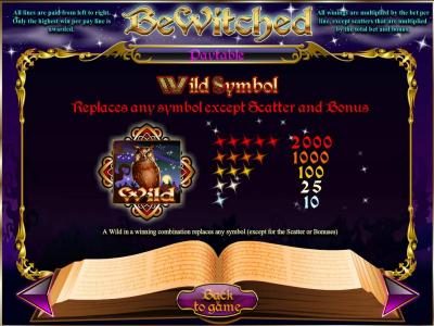wild symbol paytable and rules