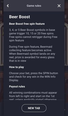 Free Spin Feature Rules