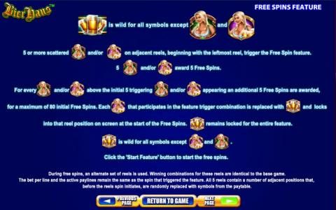 Free Spins Feature game rules