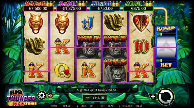 Multiple winning paylines triggers a big win!