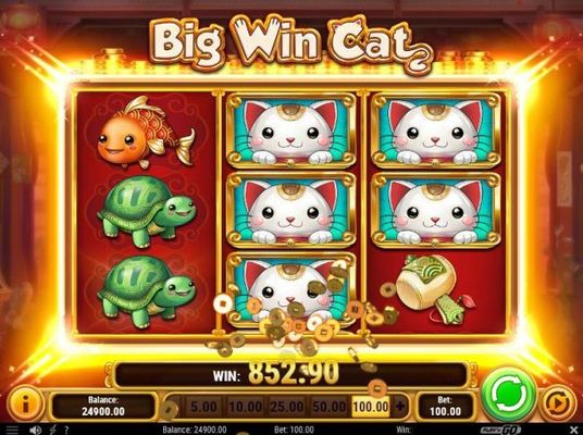 Multiple winning paylines leads to a big win payout
