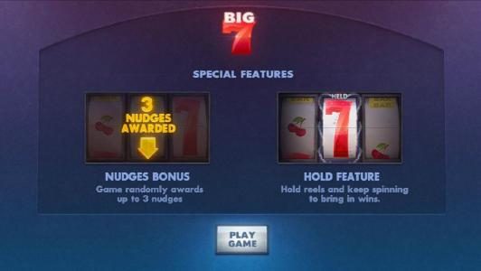 special features - nudge bonus and hold feature