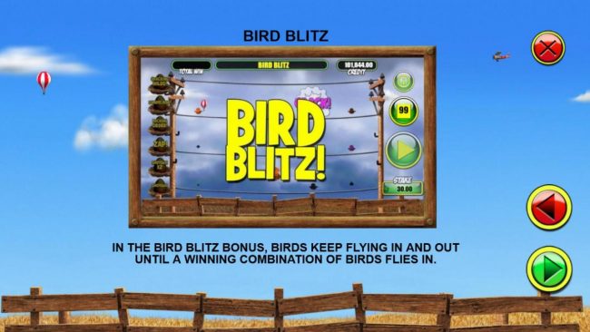 Bird Blitz Rules