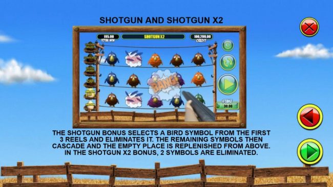 Shotgun and Shotgun X2 Rules