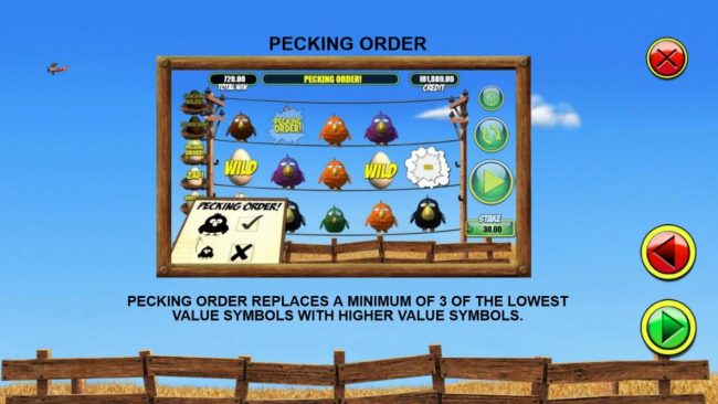 Pecking Order Feature Rules