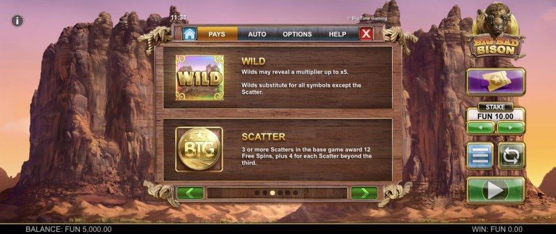 Wild and Scatter Rules