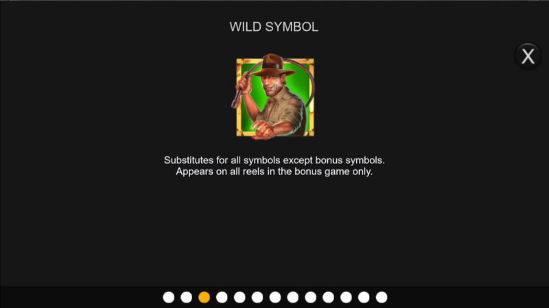 Wild Symbol Rules