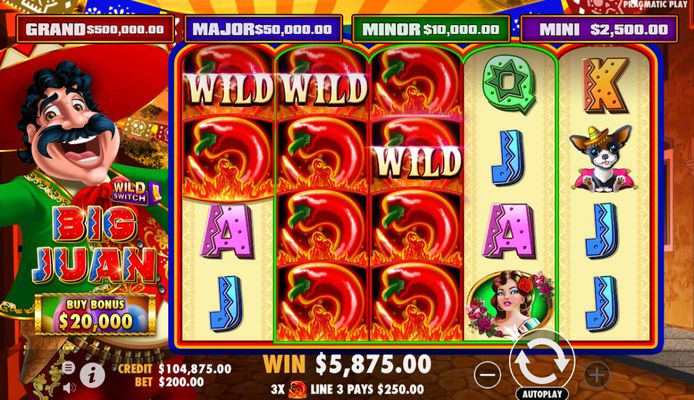 Multiple winning paylines