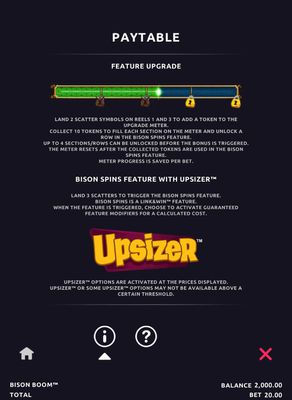 Feature Rules