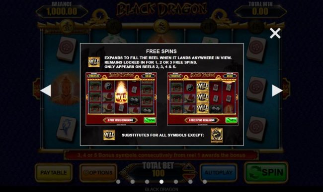 Free Spins Rules