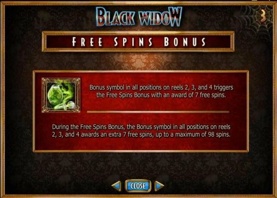 Free Spins Bonus Game Rules