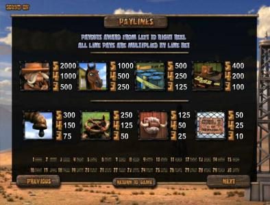 slot game paytable and payline diagrams