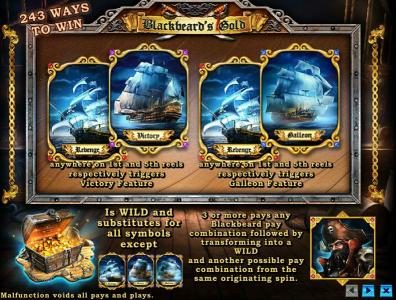 bonus feature and wild symbol rules