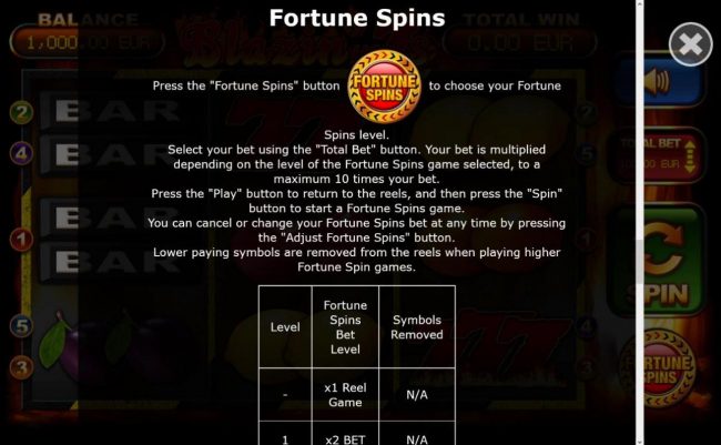 Fortune Spins Feature Rules
