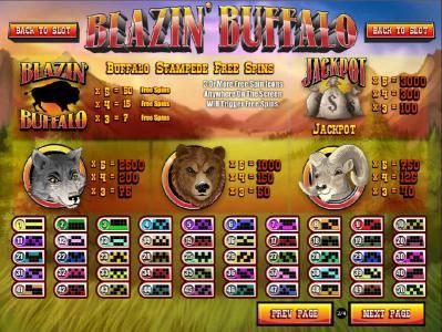 High value slot game symbols paytable and payline diagrams