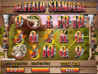 multiple winning paylines triggered during the free spins feature.