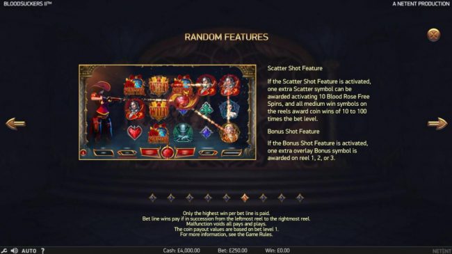 Random Features include the Scatter Shot Feature and Bonus Shot Feature.
