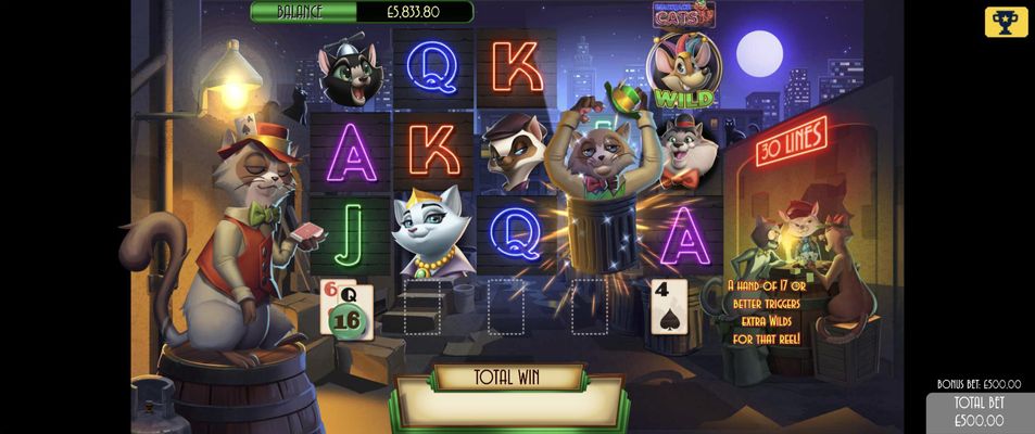 Blackjack Cats :: Feature Activated