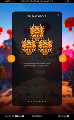 Wild Symbol