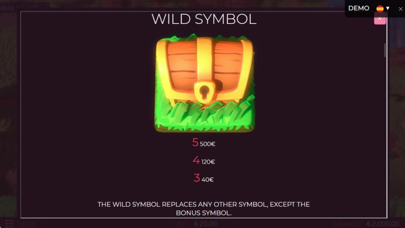 Wild Symbol