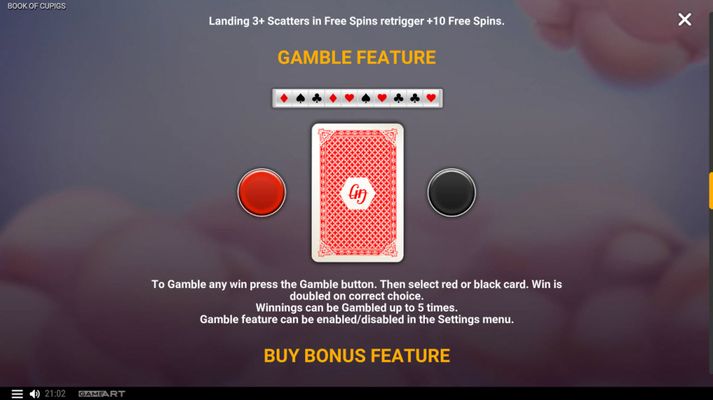 Red or Black Gamble Feature