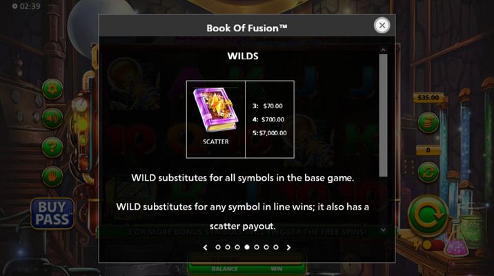 Wild Symbol