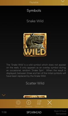 Wild Symbol