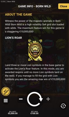 Feature Rules