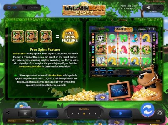 Free Spins Feature Rules