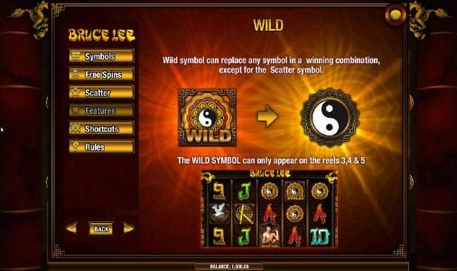 wild symbol rules