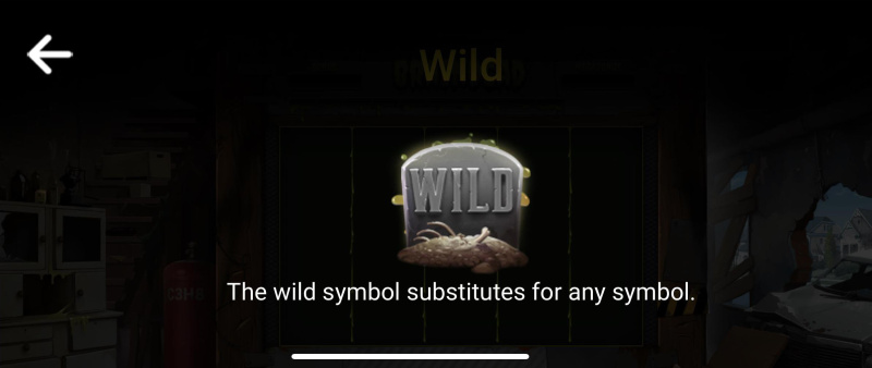 Wild Symbol