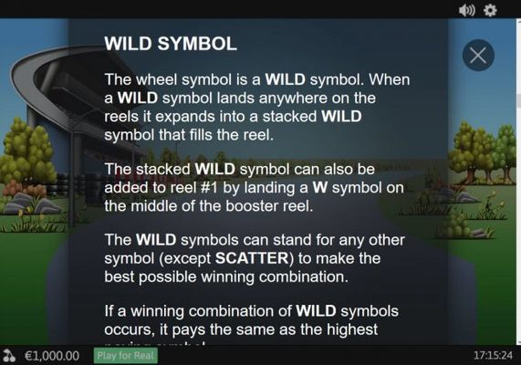 Wild Symbol Rules