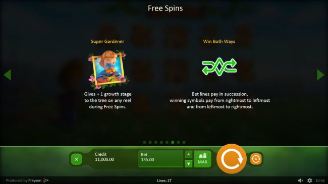 Free Spins Bonus Game Rules