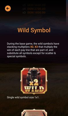 Wild Symbol