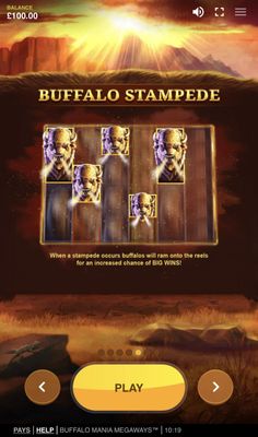 Buffalo Stampede