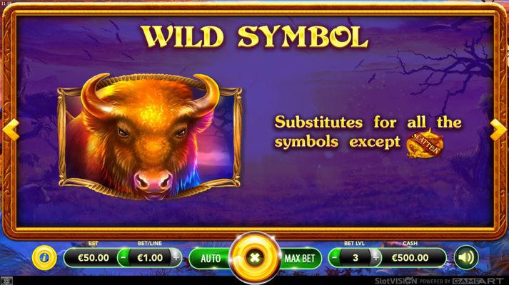 Wild Symbol Rules