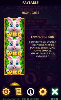 Wild Symbol