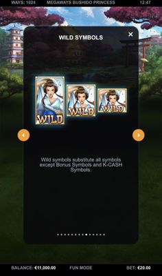Wild Symbol