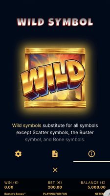 Wild Symbol