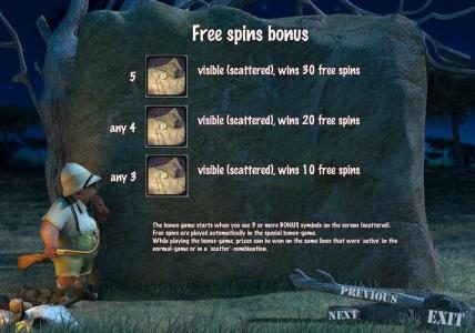 free spins bonus feature rules