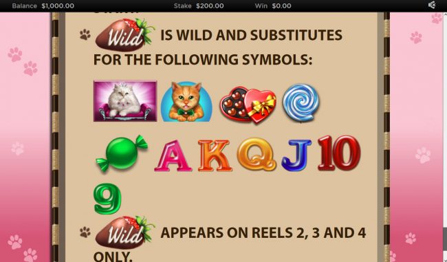 Wild Symbol Rules