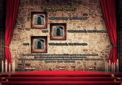 free spins bonus feature rules