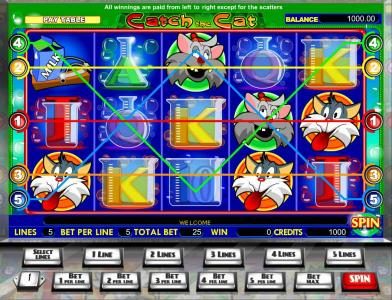 main game board featuring five reels and 5 paylines