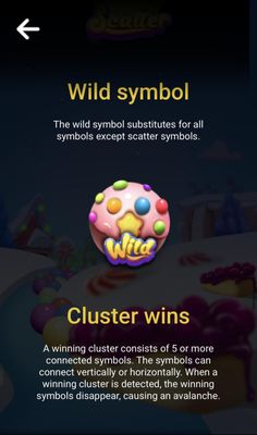 Wild Symbol